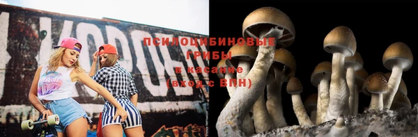 дмт Протвино