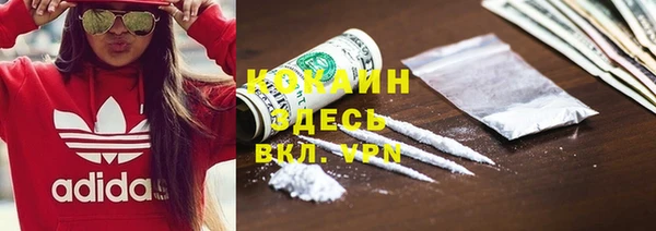 дмт Протвино