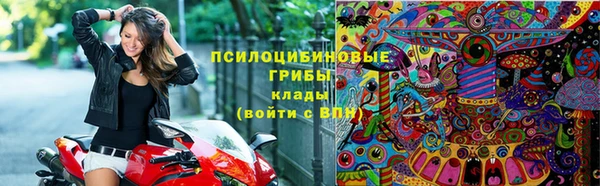 шишки Приозерск