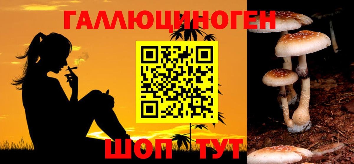 Галлюциногенные грибы прущие грибы Сердобск