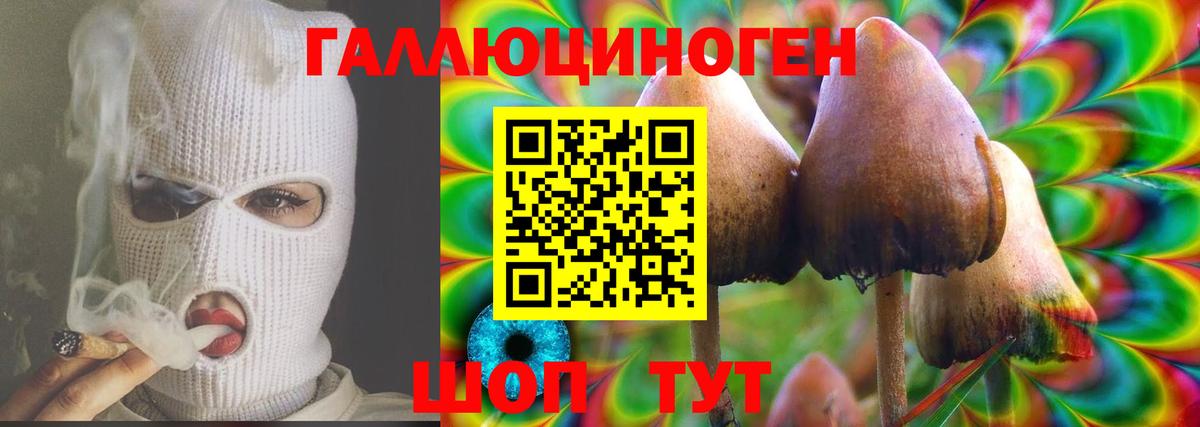 Псилоцибиновые грибы MAGIC MUSHROOMS  Вход с VPN  Сердобск  Галлюциногенные грибы Magic Shrooms 