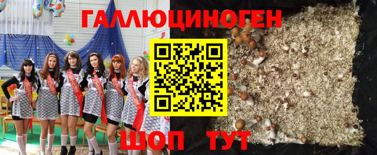 Галлюциногенные грибы ЛСД Сердобск